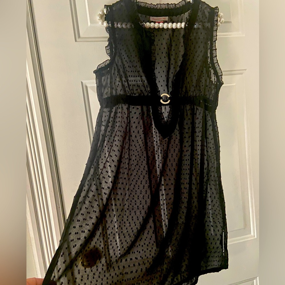 Sheer Bathing Suit Cover